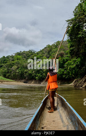 Le parc national de Chagres, Panama - 22 Avril 2018 : Les Autochtones Embera homme volant une pirogue le long de la rivière Banque D'Images