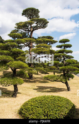 Sengan-en garden de Kagoshima au Japon Banque D'Images