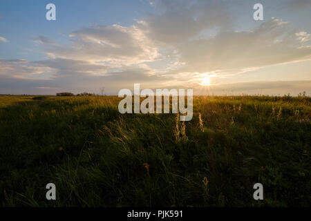 Coucher de soleil sur le Darscho Lacke appelé aussi Warmsee à Apleton dans le parc national du lac de Neusiedl, Burgenland, Autriche Banque D'Images