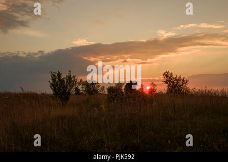 Coucher de soleil sur le Darscho Lacke appelé aussi Warmsee à Apleton dans le parc national du lac de Neusiedl, Burgenland, Autriche Banque D'Images