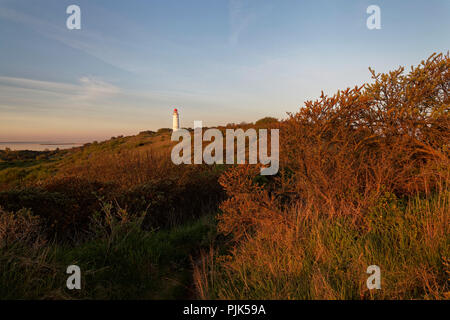 Le lever du soleil sur la mer Baltique et la Bodden, vu de l'île de Hiddensee, Poméranie occidentale Lagoon Salon National Park Banque D'Images