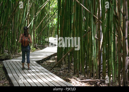 Un female hiker marque une pause pour profiter de la sérénité de l'exotique des forêts de bambous le long des Pipiwai Trail dans le Parc National de Haleakala sur l'île Maui, Hawaii Banque D'Images