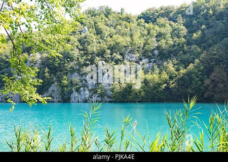 Le parc national des Lacs de Plitvice est le plus populaire de la Croatie une attraction touristique et lieu de beauté naturels protégés. Banque D'Images