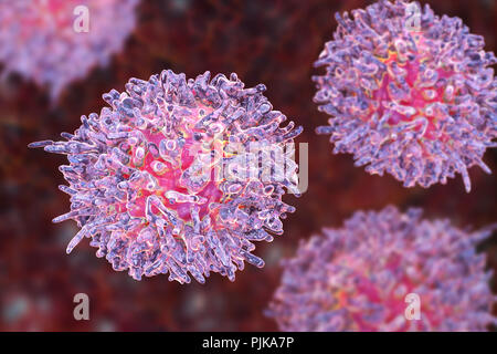 La leucémie à tricholeucocytes. Illustration d'ordinateur d'anomalies des globules blancs (lymphocytes B-) d'un patient atteint de leucémie à tricholeucocytes. Ces cellules montrent Banque D'Images