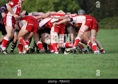 Pats vieux versets RFC RFC Barnstaple Banque D'Images