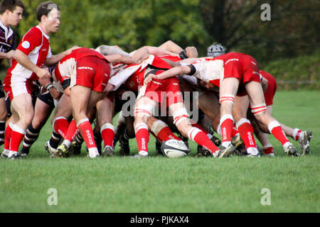 Pats vieux versets RFC RFC Barnstaple Banque D'Images