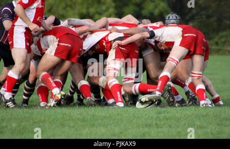 Pats vieux versets RFC RFC Barnstaple Banque D'Images