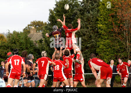 D'un alignement au cours de l'ancien RFC RFC Pats vers Barnstaple match Banque D'Images