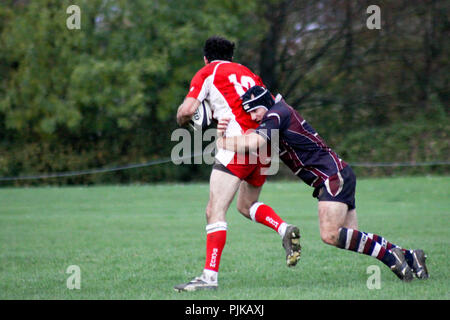 Pats vieux versets RFC RFC Barnstaple Banque D'Images