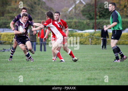 Pats vieux versets RFC RFC Barnstaple Banque D'Images