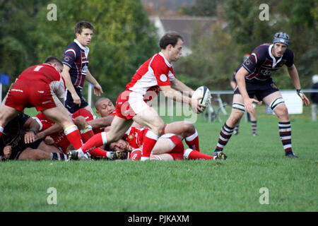 Pats vieux versets RFC RFC Barnstaple Banque D'Images