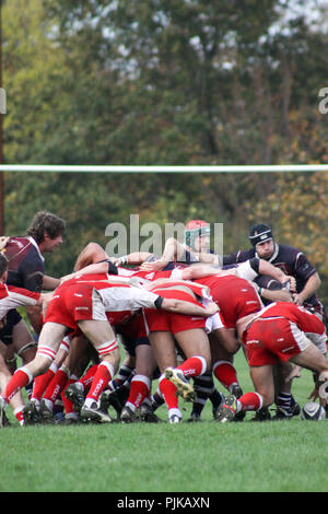 Pats vieux versets RFC RFC Barnstaple Banque D'Images