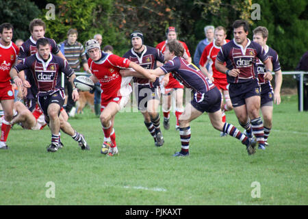 Pats vieux versets RFC RFC Barnstaple Banque D'Images