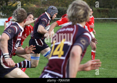 Pats vieux versets RFC RFC Barnstaple Banque D'Images