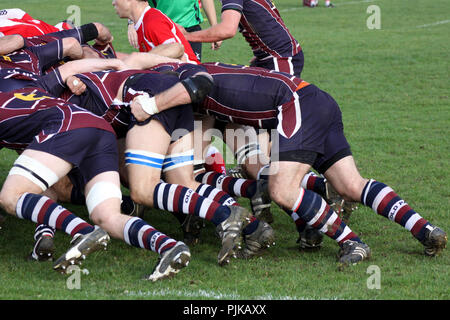 Pats vieux versets RFC RFC Barnstaple Banque D'Images