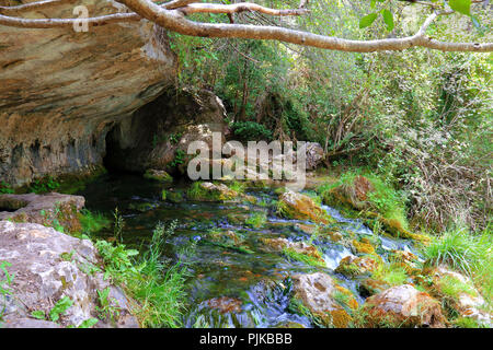 Lorsque le printemps est né de la rivière Cuervo, dans la Serrania de Cuenca, Espagne Banque D'Images