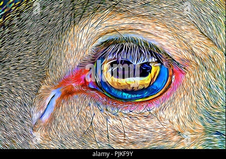 Deer eye (art numérique) Banque D'Images