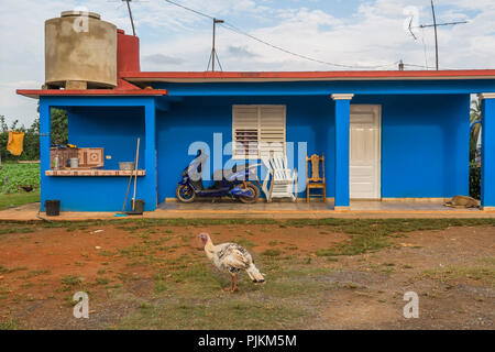 Maison de ferme cubaine typique, ferme de tabac, vallée de Vinales, province de Pinar del Rio, Cuba, République de Cuba, Antilles, Caraïbes Banque D'Images