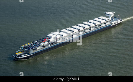 FORENSO cargo, car carrier avec cars, car carrier sur le Rhin près de Rheinberg, navigation intérieure, Rheinberg, Ruhr, Rhénanie du Nord-Westphalie, Allemagne Banque D'Images