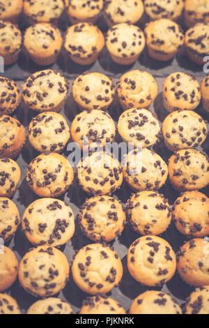 Petits muffins avec morceaux de chocolat prêt à manger Banque D'Images