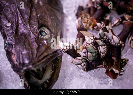 Un poisson frais et les balanes sur la glace dans une boutique pour la vente, Banque D'Images