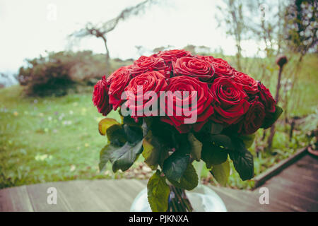 Un bouquet de roses rouges baccara, Banque D'Images