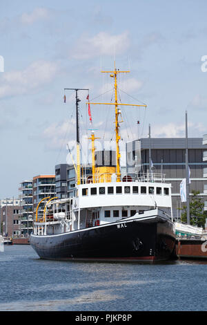 Museum Ship active 'brise-glace à vapeur Wal', immeubles d'habitation modernes, New Harbour, Bremerhaven, Brême, Allemagne Banque D'Images