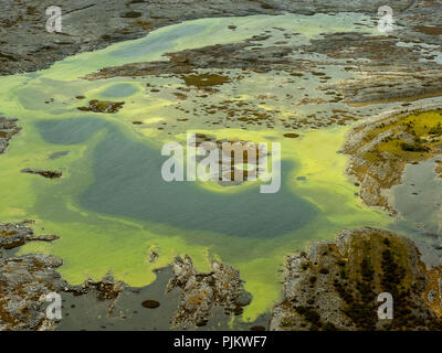 Petits lacs dans le Burren Rocks, Turloughs dans le Burren, algues vertes, Burren, réserve naturelle, des falaises de calcaire, de craie rock formation, Mullaghmore, Burren, comté de Clare, Irlande, Europe Banque D'Images