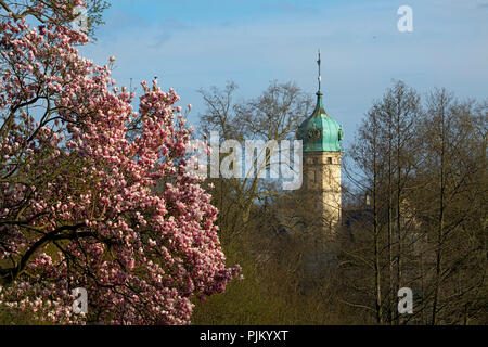 Magnolia en fleurs en face de la tour du château de chasse Glienicker à Berlin. Banque D'Images