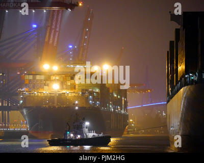 Terminal Conteneurs par nuit Banque D'Images