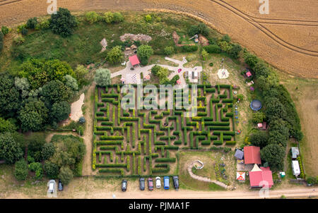 Labyrinthe de couverture, labyrinthe, labyrinthe Bollewick, Bollewick, Rügen, Mecklembourg-Poméranie-Occidentale, Allemagne Banque D'Images