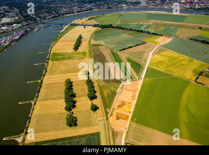 La protection contre les inondations par une nouvelle digue du Rhin dans le sud de Duisburg, Rheindeich Mündelheim près et en face de Krefeld-Uerdingen au pont de l'autoroute fédérale 288, champs, l'agriculture, Duisburg, vue sur le Rhin, de la Ruhr, en Rhénanie du Nord-Westphalie, Allemagne Banque D'Images