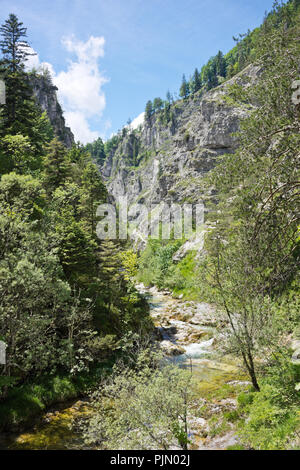 Gorge rocheuse spectaculaire avec ruisseau de montagne dans le désert de l'Ötschergräben dans les Alpes autrichiennes. Banque D'Images