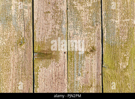 Vieux fond de bois vertical avec les conseils de couleur verte de déroulage Banque D'Images