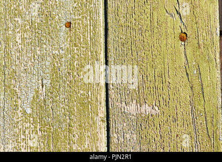 Vieux fond de bois vertical avec les conseils de couleur verte de déroulage Banque D'Images