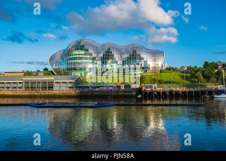 Newcastle, Angleterre - le 29 juillet 2018 : Sage Gateshead concert hall sur Newcastle Gateshead Quayside comme une mouette vole au-dessus du fleuve Tyne. Banque D'Images