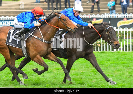 Sydney, Australie. 08 Sep 2018. Jockey James McDonald (bouchon blanc) rides à la victoire en apaisant la race 8, le Zyrtec Sprint du Printemps, lors de la course à la course rose journée à l'Hippodrome de Rosehill Gardens, Sydney, Australie. Crédit : Rafal Kontrym/Alamy Live News. Banque D'Images