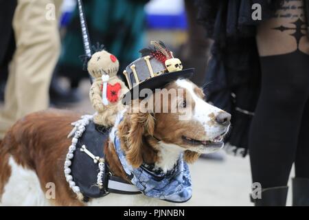 Eastbourne, Royaume-Uni. Le 8 septembre 2018. Les gens apprécient le festival steampunk annuel sur le front aujourd'hui à Eastbourne, East Sussex, UK Crédit : Ed Brown/Alamy Live News Banque D'Images