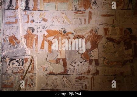 Saqqara, Egypte. Le 8 septembre 2018. Une vue d'une chambre de la tombe de Mehu, après qu'il a été ouvert pour le public à Saqqara, Giza, Egypte, 08 septembre 2018. La tombe de Mehu, inaugurée au public pour la première fois depuis sa découverte en 1940. Photo : Mohamed el Raai/dpa dpa : Crédit photo alliance/Alamy Live News Banque D'Images