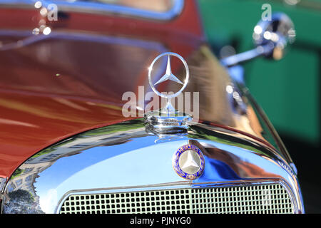 Magdeburg, Allemagne. 05Th Nov, 2018. L'étoile d'un cabriolet Mercedes Benz de 1952 Aujourd'hui est le début de l'excursion en voiture à l'occasion de l'ADAC-Sachsen-Anhalt-classique avec environ 119 voitures de collection). Les quelque 185 kilomètres, s'étend autour de la capitale de l'état et la région Boerde. Crédit : Peter Gercke/dpa-Zentralbild/dpa/Alamy Live News Banque D'Images