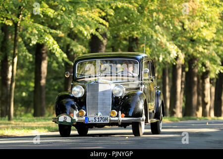 Magdeburg, Allemagne. 05Th Nov, 2018. Une Mercedes Benz à partir de 1951 par les lecteurs de Herrenkrugpark à l'occasion de l'ADAC-Sachsen-Anhalt-classique avec environ 119 voitures classiques. Les quelque 185 kilomètres, s'étend autour de la capitale de l'état et la région Boerde. Crédit : Peter Gercke/dpa-Zentralbild/dpa/Alamy Live News Banque D'Images