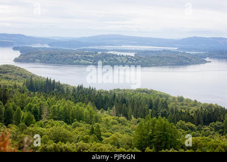 Regardant vers le bas sur l'île boisée du Loch Lomond en Inchlonaig des pistes de Beinn Uird, Loch Lomond et les Trossachs National Park, l'Écosse, U Banque D'Images