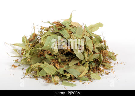 Feuilles et fleurs de tilleul séché pour linden préparation du thé sur fond blanc Banque D'Images