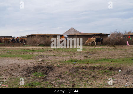 Villages masaï du Kenya le long de la route pour aller à la réserve de Masai Mara Banque D'Images