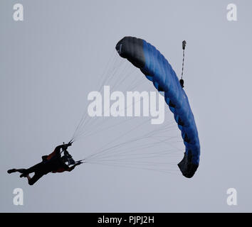 En vertu de parachutistes parachutes modernes arrivant sur la terre sur aérodrome. Banque D'Images