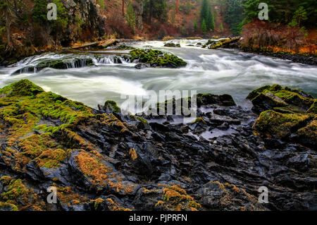 La pierre de lave couvertes de mousse le long du canyon de la rivière Deschutes dans l'Oregon Bend Banque D'Images