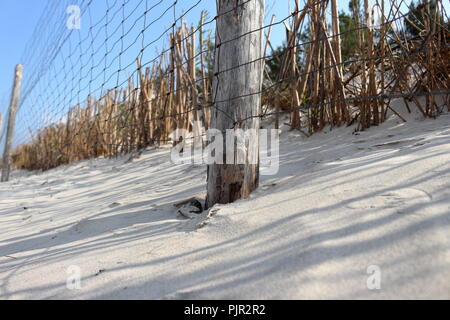 Un grillage de protection de zone de dunes de sable et sa végétation Banque D'Images