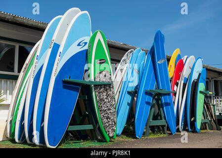 Pour louer des planches, Kauai Banque D'Images