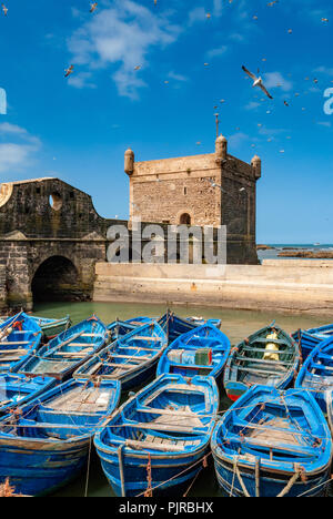 Une flotte de bateaux de pêche bleu entassés dans le port d'Essaouira au Maroc. Vous pouvez également voir les fortifications et une tour de la citadelle de Banque D'Images