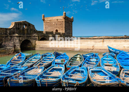 Une flotte de bateaux de pêche bleu entassés dans le port d'Essaouira au Maroc. Vous pouvez également voir les fortifications et une tour de la citadelle de Banque D'Images